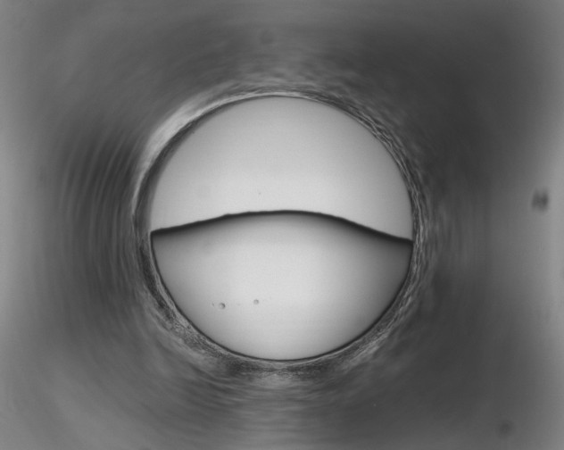 X0000116800246200912181124