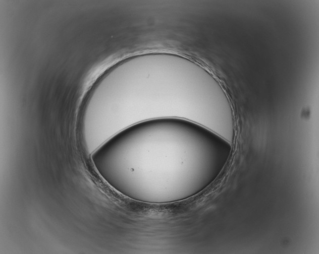 X0000116800248200912181124
