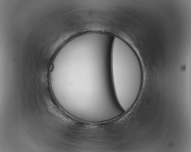 X0000116800249200912181124