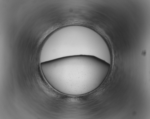 X0000116800250200912181124