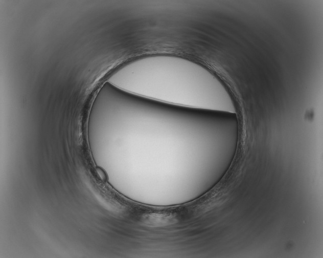 X0000116800251200912181124