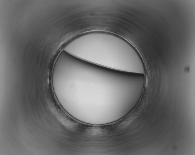 X0000116800253200912181124