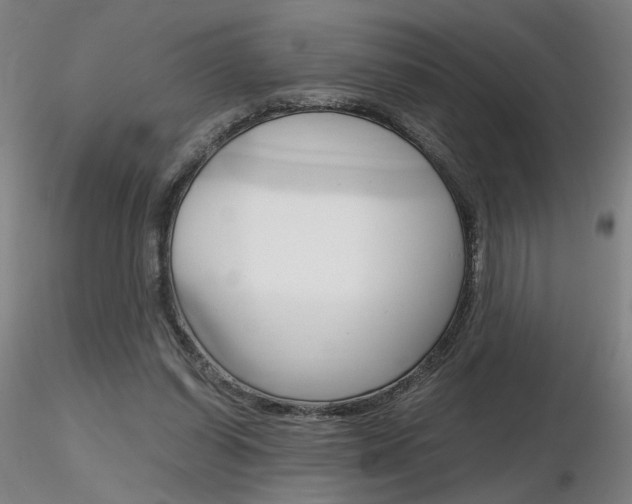 X0000116800254200912181124