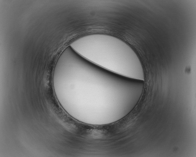 X0000116800255200912181124