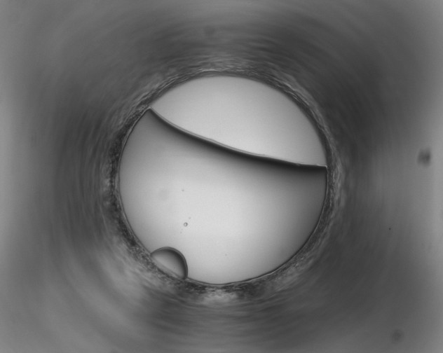X0000116800257200912181124