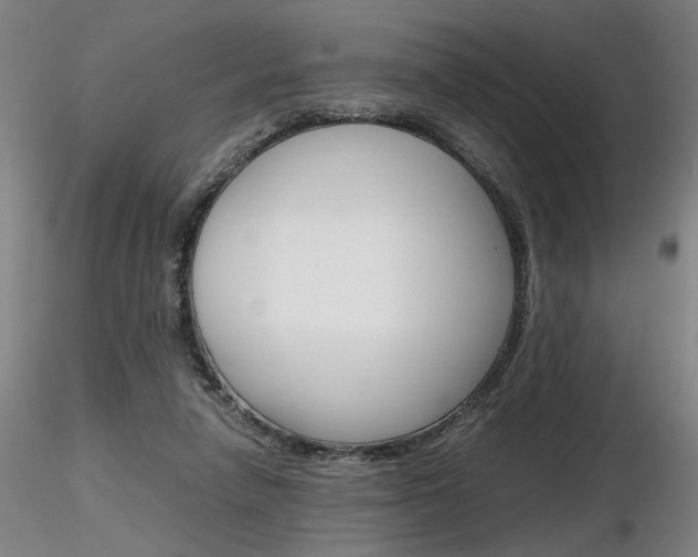 X0000116800258200912181124