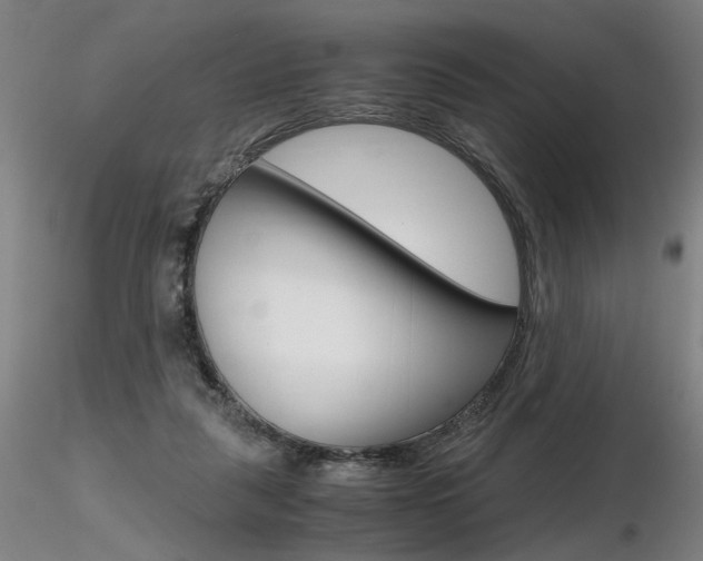 X0000116800259200912181124