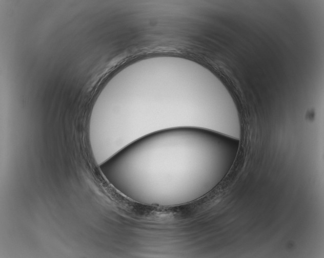 X0000116800260200912181124