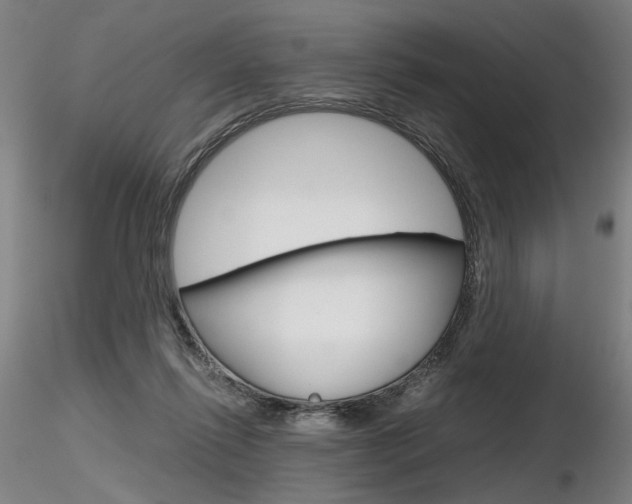 X0000116800262200912181124