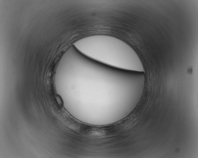 X0000116800263200912181124