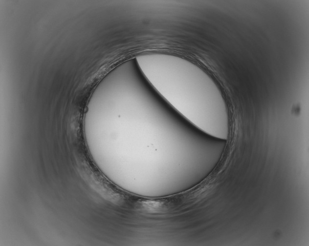 X0000116800265200912181124