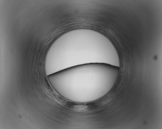 X0000116800266200912181124
