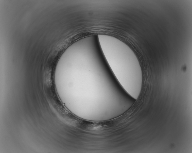 X0000116800267200912181124