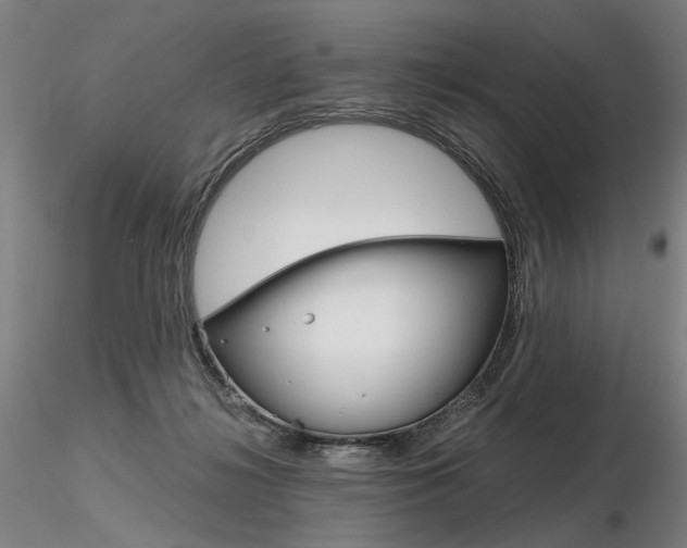 X0000116800268200912181124