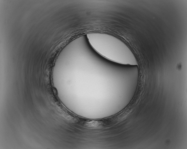 X0000116800269200912181124