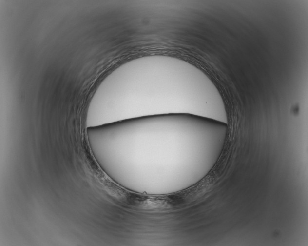 X0000116800270200912181124
