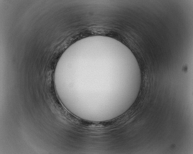 X0000116800271200912181124