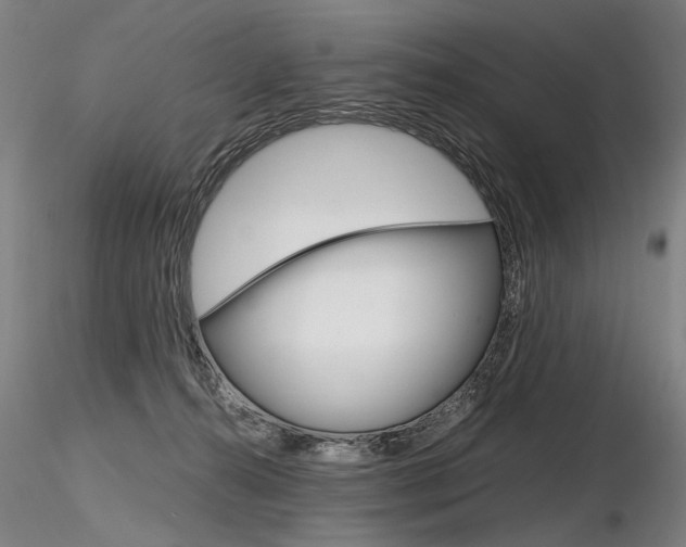 X0000116800272200912181125