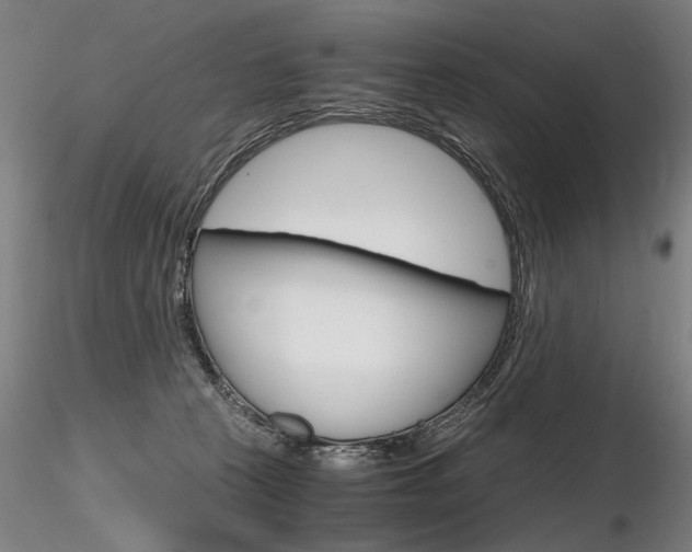 X0000116800273200912181125