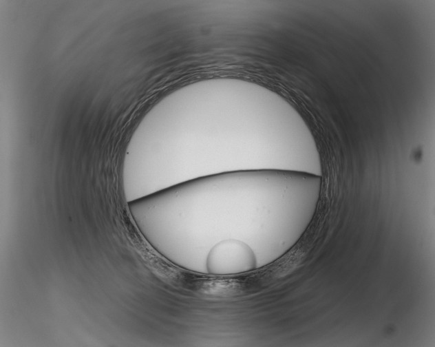 X0000116800274200912181125