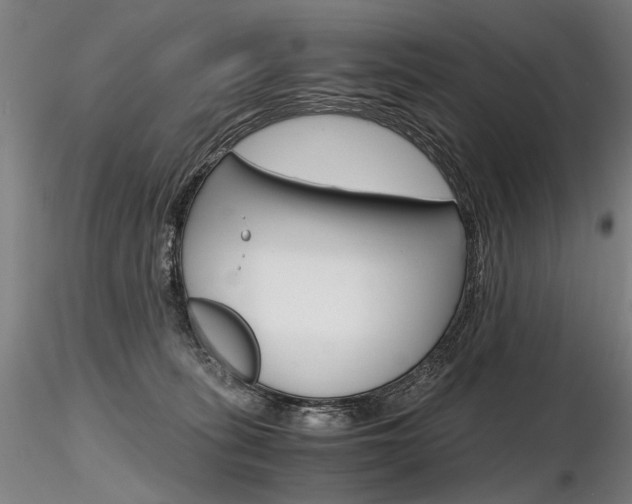 X0000116800275200912181125