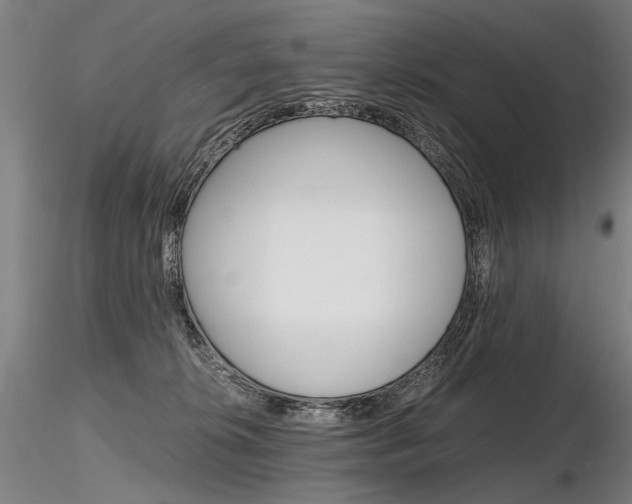 X0000116800276200912181125