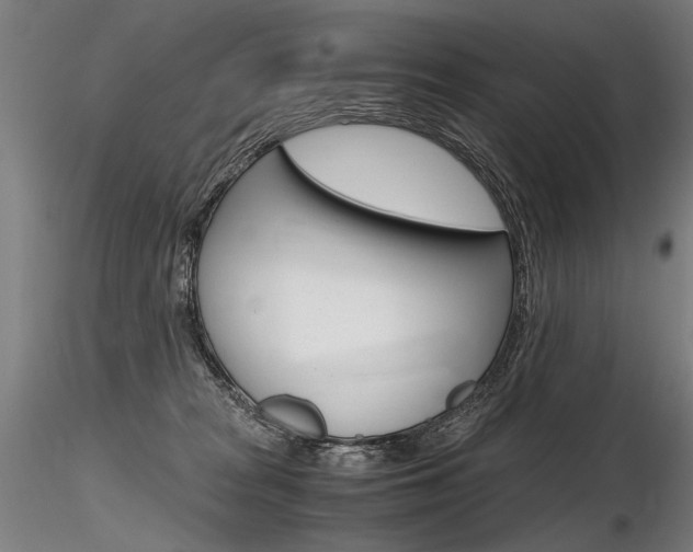 X0000116800277200912181125