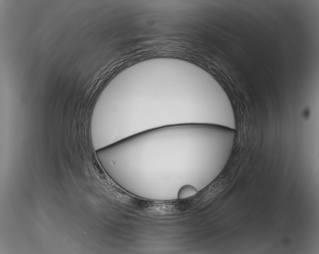 X0000116800278200912181125