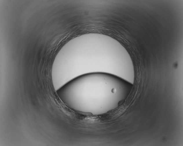 X0000116800280200912181125