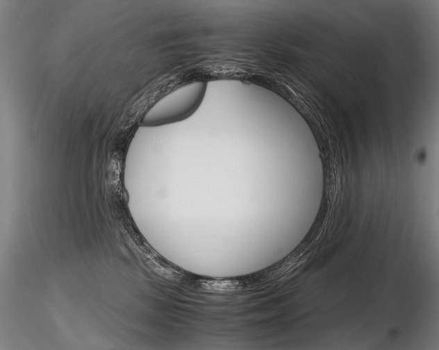 X0000116800281200912181125