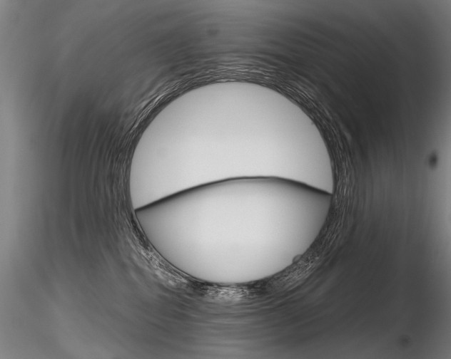 X0000116800282200912181125
