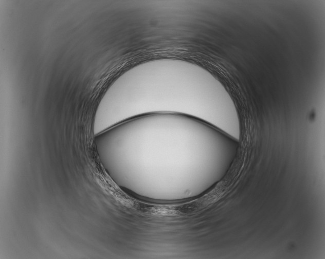 X0000116800284200912181125