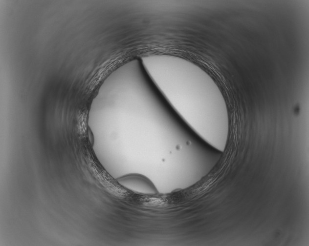 X0000116800285200912181125