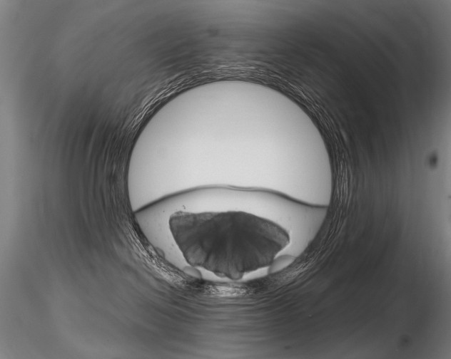 X0000116800286200912181125