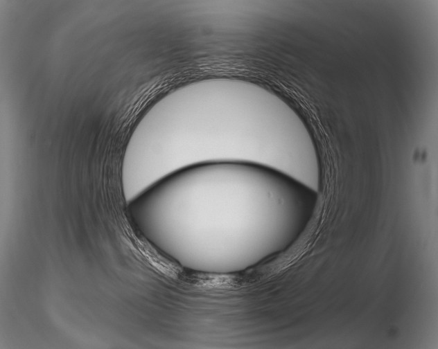 X0000116800288200912181125