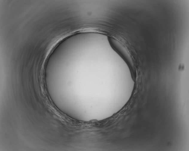 X0000116800289200912181124