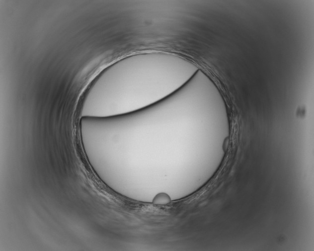 X0000116800290200912181124