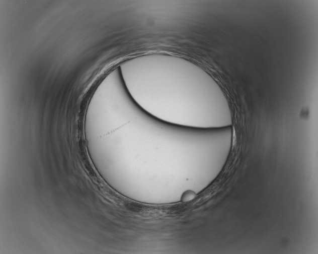 X0000116800291200912181124