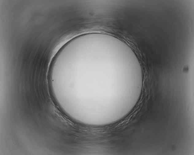 X0000116800292200912181124