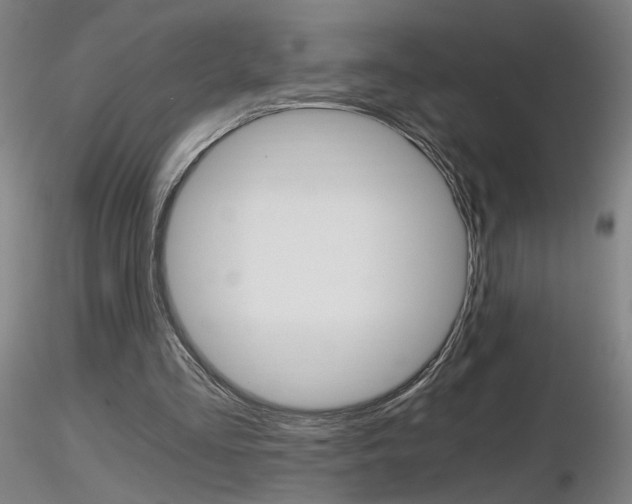 X0000116800293200912181124