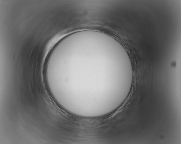 X0000116800294200912181124