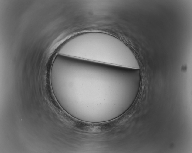 X0000116800295200912181124