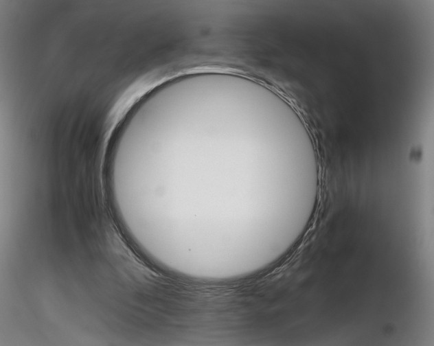 X0000116800296200912181124
