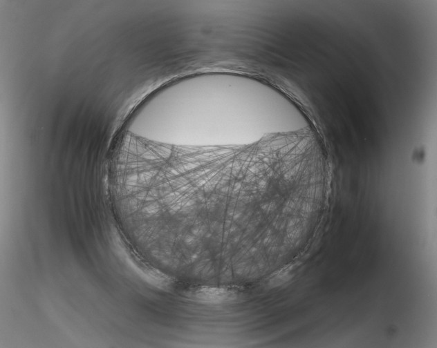X0000116800298200912181124