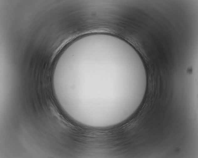 X0000116800300200912181124