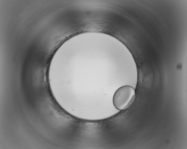 X0000116800302200912181124