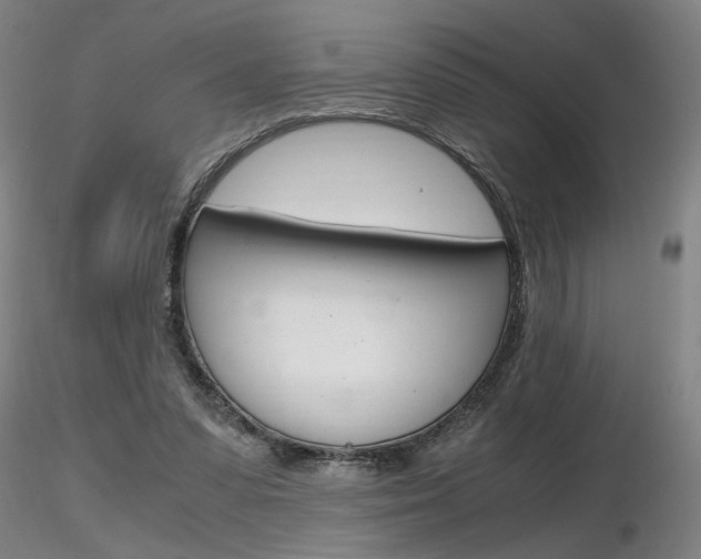 X0000116800303200912181124