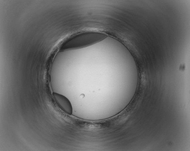 X0000116800304200912181124