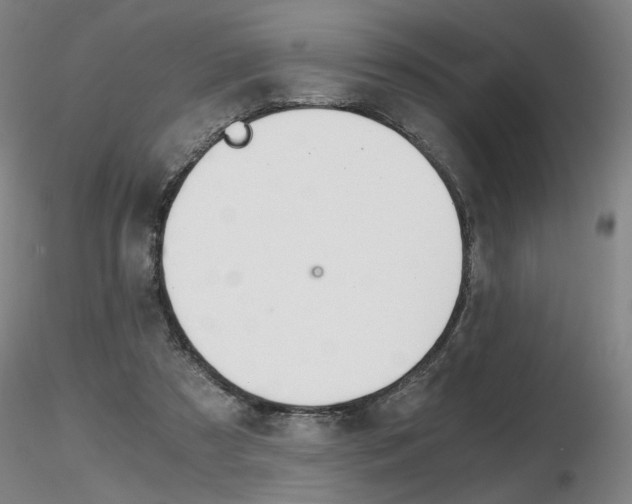 X0000116800305200912181124