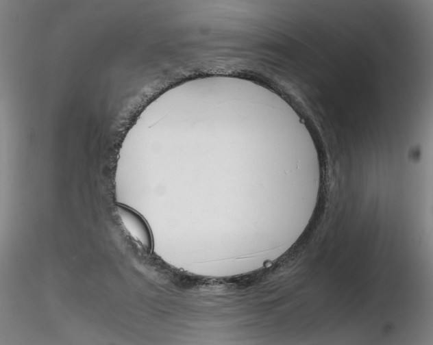 X0000116800307200912181124